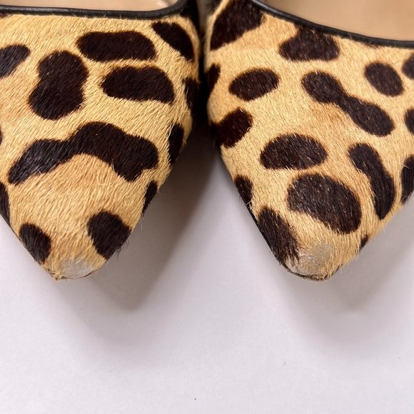 Tory Burch Elizabeth Beige Calf Hair Leopard Print Point Toe Stiletto Pumps 7.5 - Picture 13 of 15